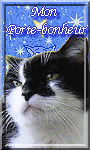 le monde ds chats